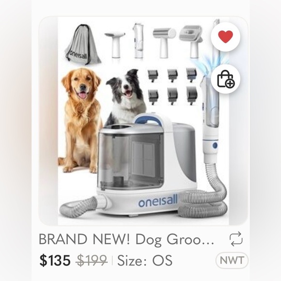 KITTIES & PUP PUPS 🐾 - Picture 2 of 7